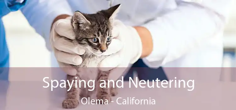 Spaying and Neutering Olema - California