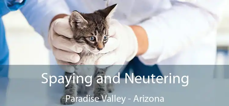 Spaying and Neutering Paradise Valley - Arizona