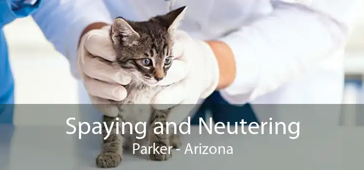 Spaying and Neutering Parker - Arizona