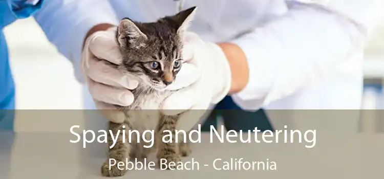 Spaying and Neutering Pebble Beach - California