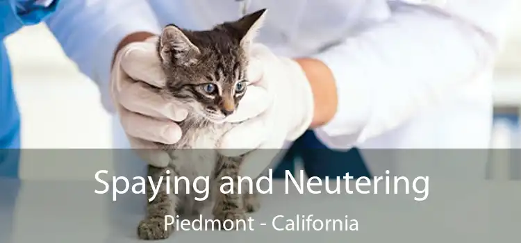 Spaying and Neutering Piedmont - California