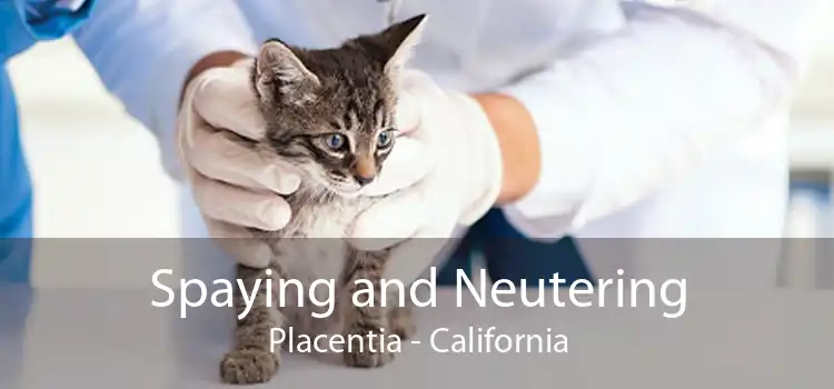 Spaying and Neutering Placentia - California