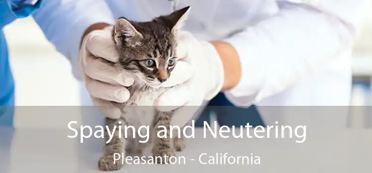 Spaying and Neutering Pleasanton - California