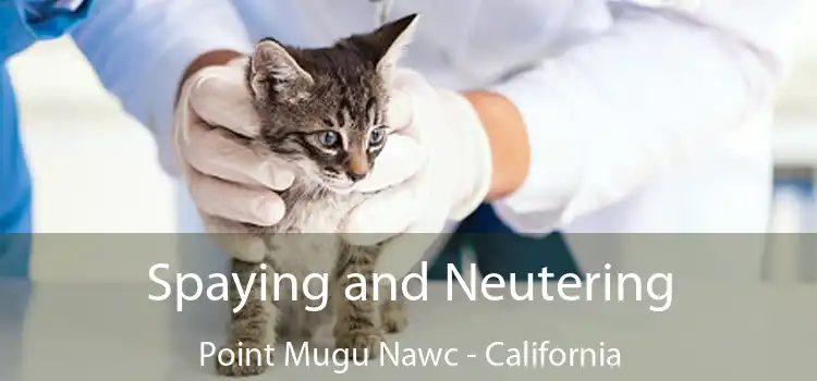 Spaying and Neutering Point Mugu Nawc - California