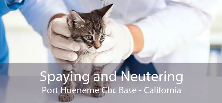 Spaying and Neutering Port Hueneme Cbc Base - California