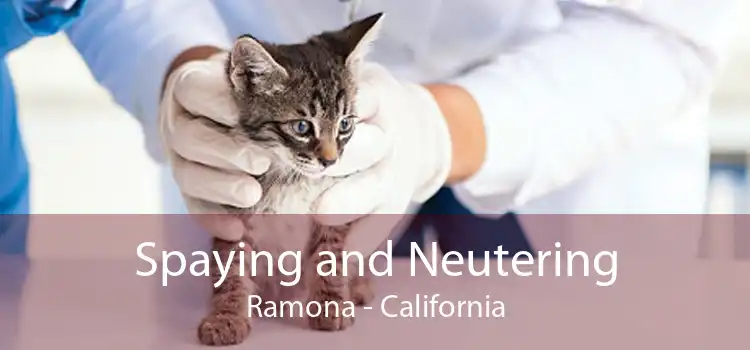 Spaying and Neutering Ramona - California