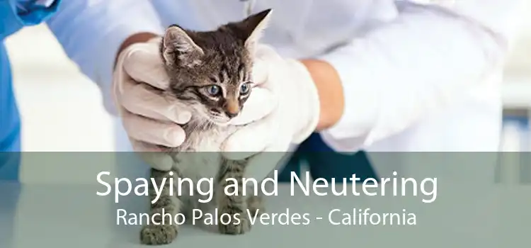 Spaying and Neutering Rancho Palos Verdes - California