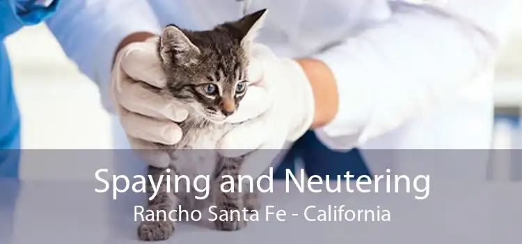 Spaying and Neutering Rancho Santa Fe - California