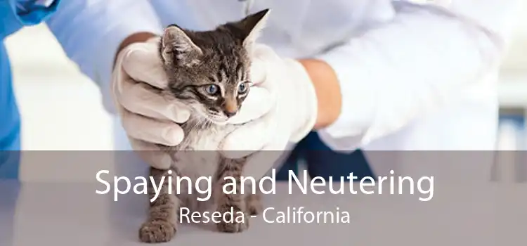 Spaying and Neutering Reseda - California