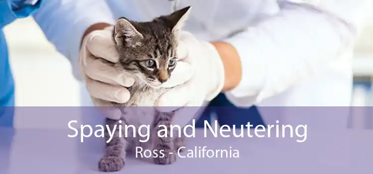 Spaying and Neutering Ross - California
