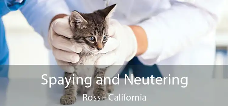 Spaying and Neutering Ross - California