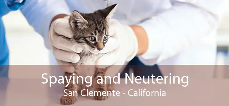 Spaying and Neutering San Clemente - California