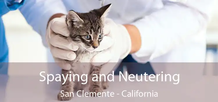 Spaying and Neutering San Clemente - California