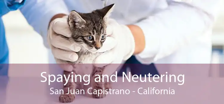 Spaying and Neutering San Juan Capistrano - California