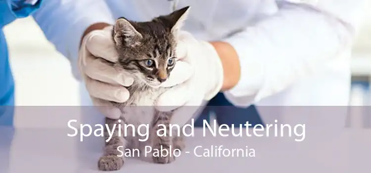 Spaying and Neutering San Pablo - California