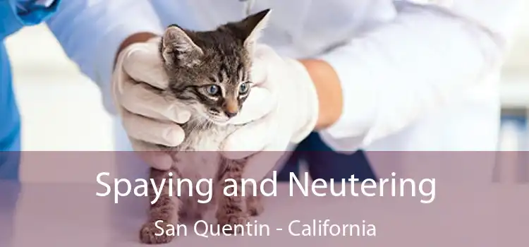 Spaying and Neutering San Quentin - California