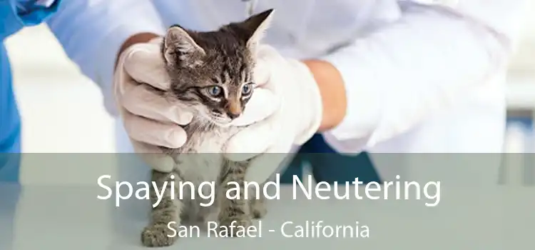 Spaying and Neutering San Rafael - California