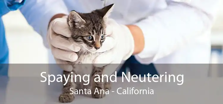 Spaying and Neutering Santa Ana - California