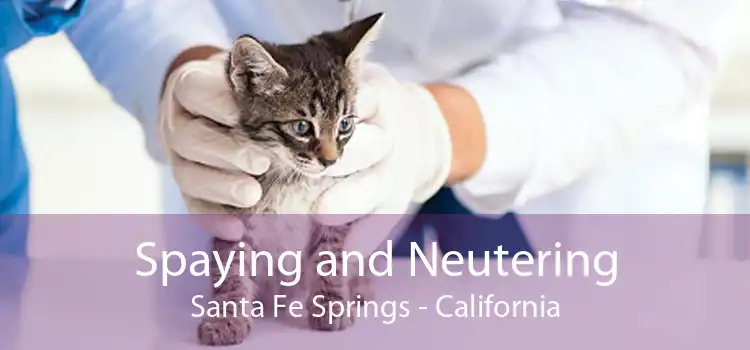 Spaying and Neutering Santa Fe Springs - California