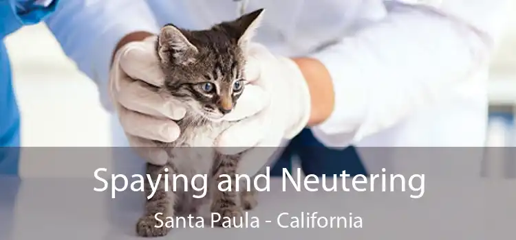 Spaying and Neutering Santa Paula - California