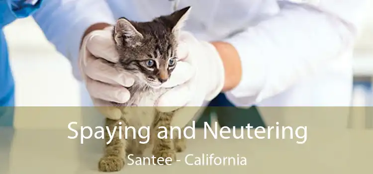 Spaying and Neutering Santee - California