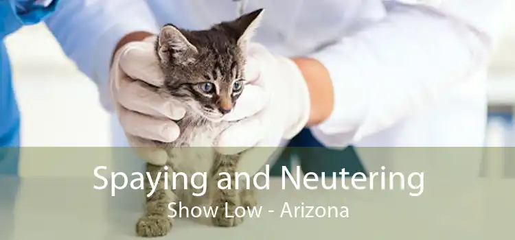 Spaying and Neutering Show Low - Arizona