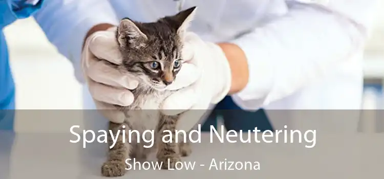 Spaying and Neutering Show Low - Arizona