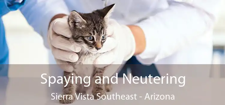 Spaying and Neutering Sierra Vista Southeast - Arizona