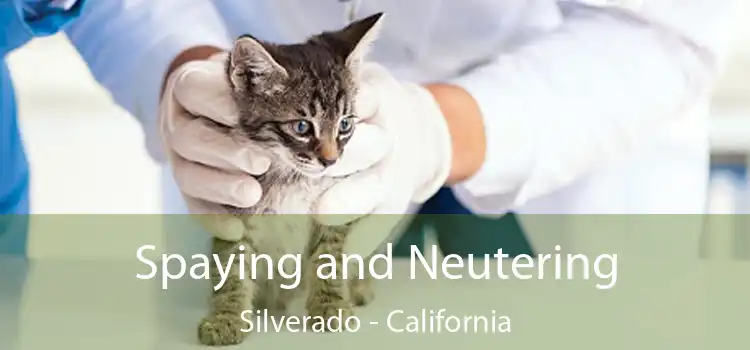 Spaying and Neutering Silverado - California