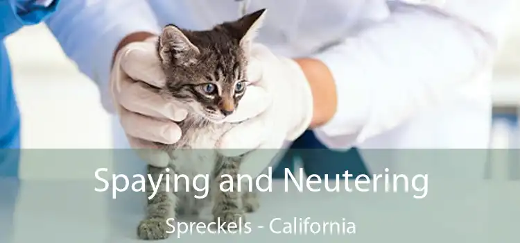 Spaying and Neutering Spreckels - California