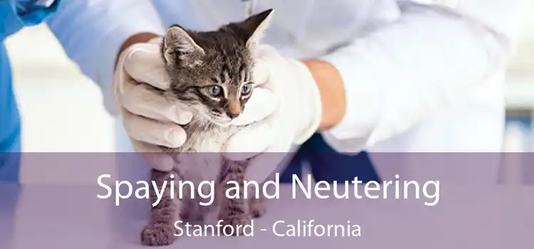 Spaying and Neutering Stanford - California