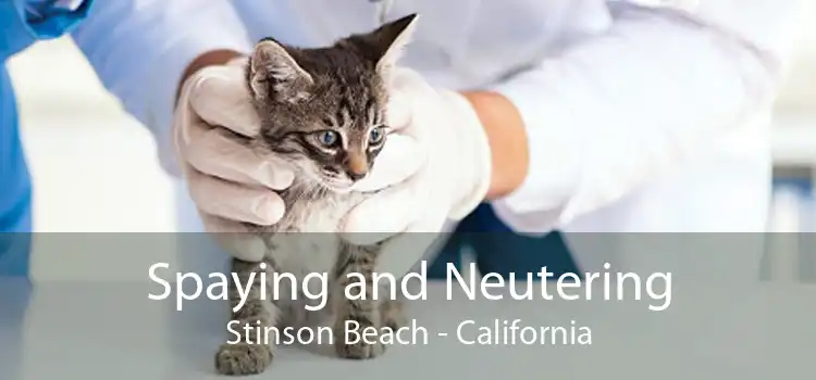 Spaying and Neutering Stinson Beach - California