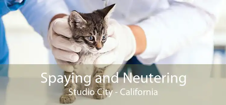 Spaying and Neutering Studio City - California