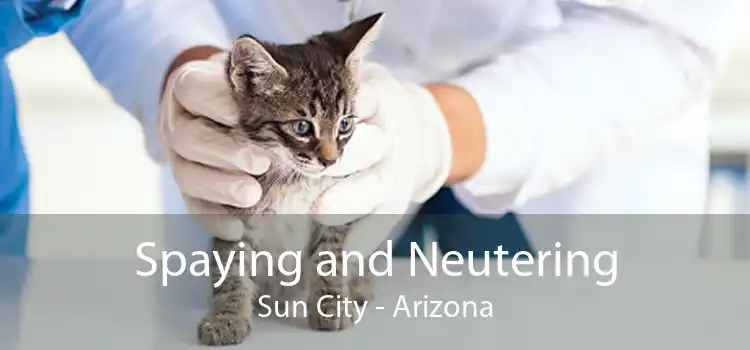 Spaying and Neutering Sun City - Arizona