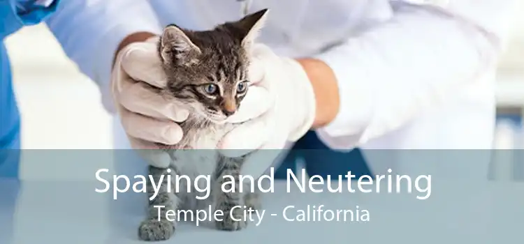 Spaying and Neutering Temple City - California