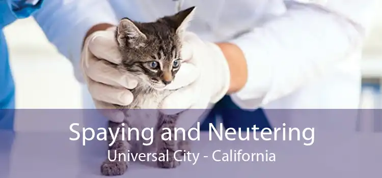 Spaying and Neutering Universal City - California