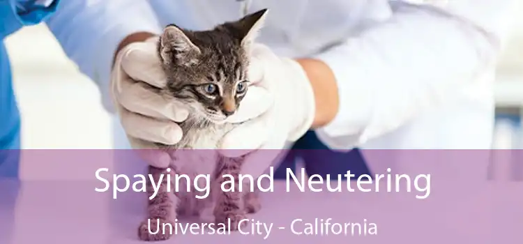 Spaying and Neutering Universal City - California