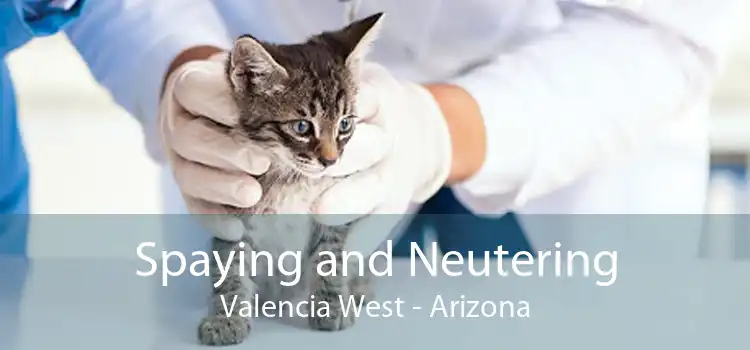 Spaying and Neutering Valencia West - Arizona