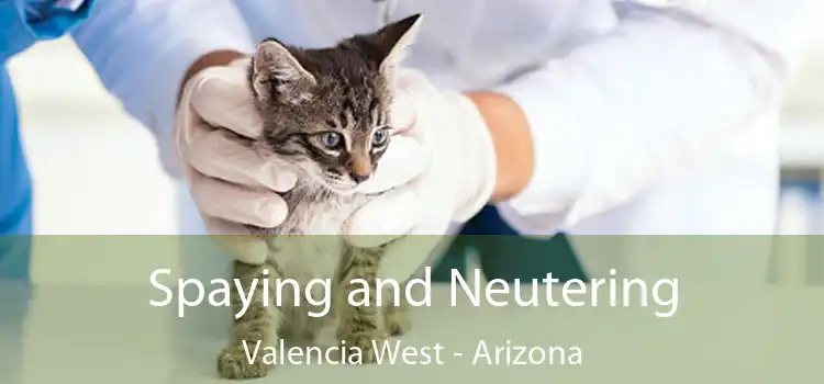 Spaying and Neutering Valencia West - Arizona