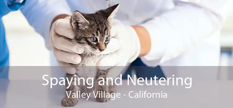 Spaying and Neutering Valley Village - California