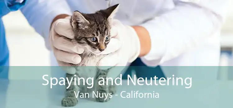 Spaying and Neutering Van Nuys - California