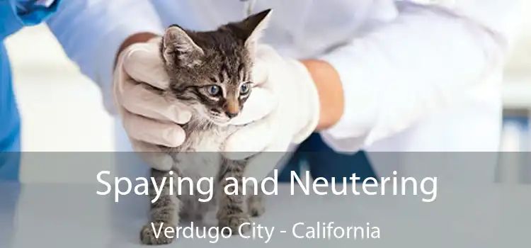 Spaying and Neutering Verdugo City - California