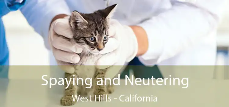 Spaying and Neutering West Hills - California