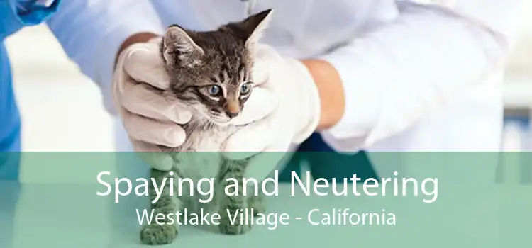 Spaying and Neutering Westlake Village - California