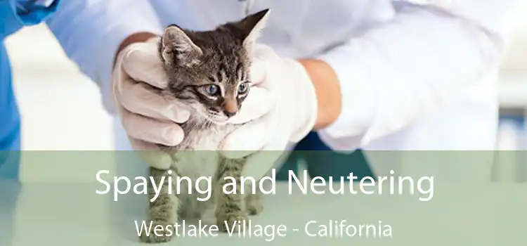 Spaying and Neutering Westlake Village - California