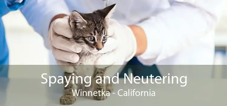 Spaying and Neutering Winnetka - California