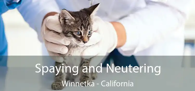 Spaying and Neutering Winnetka - California