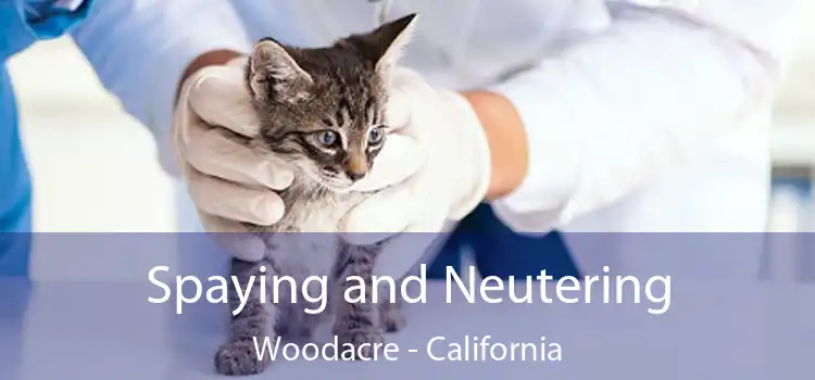 Spaying and Neutering Woodacre - California
