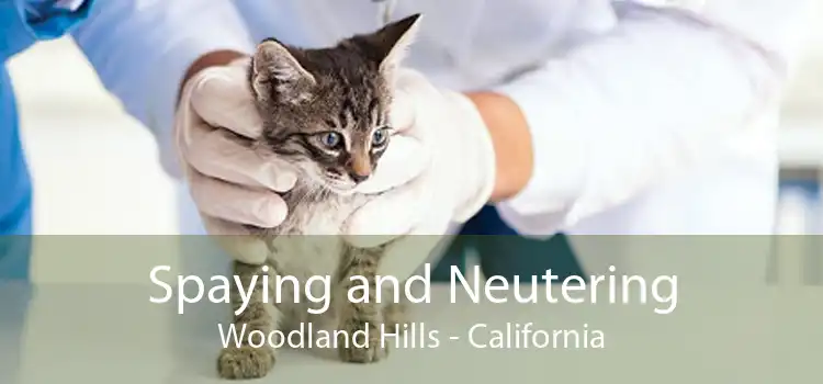Spaying and Neutering Woodland Hills - California