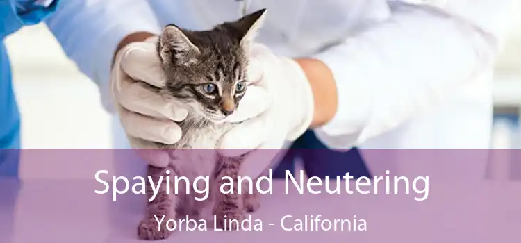 Spaying and Neutering Yorba Linda - California